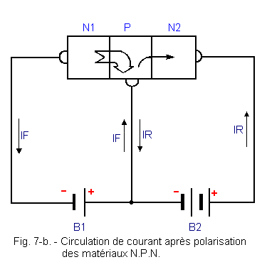 Polarisation_des_materiaux_NPN.gif