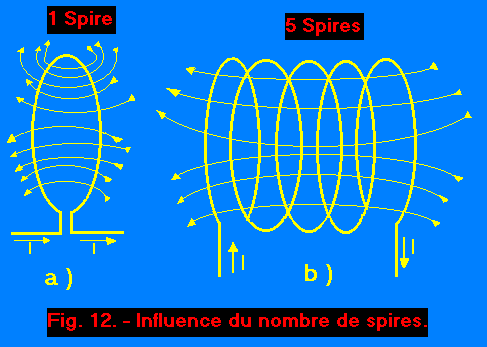 C11