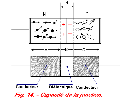 V14