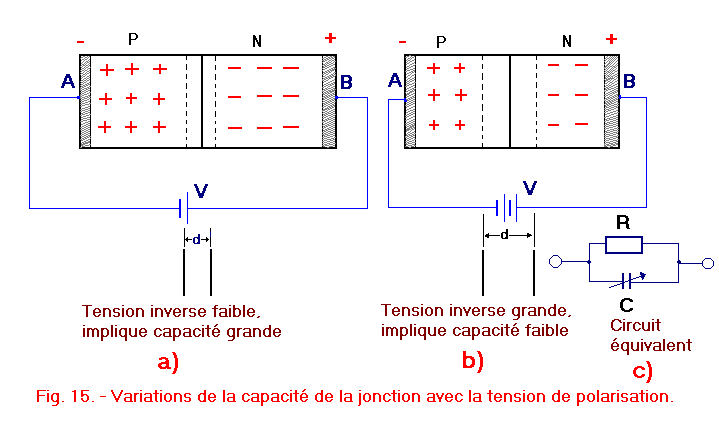 V15